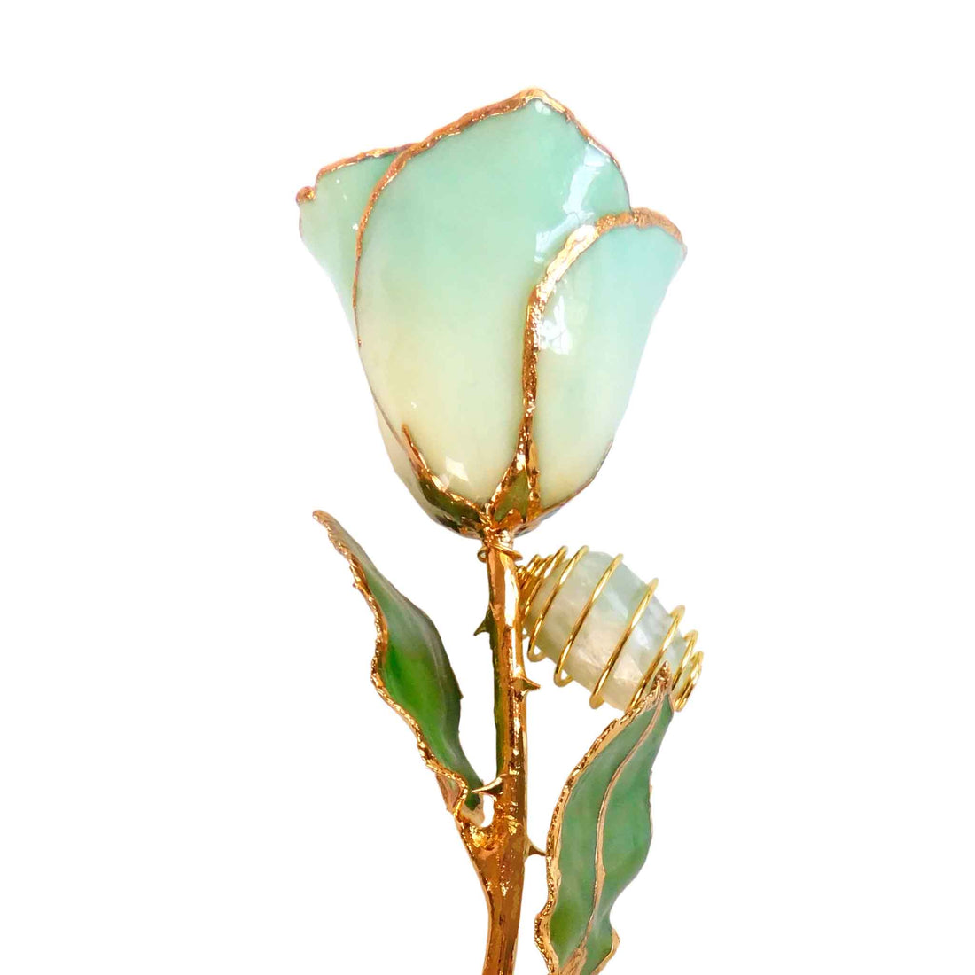 24K Gold Forever Rose - Jade