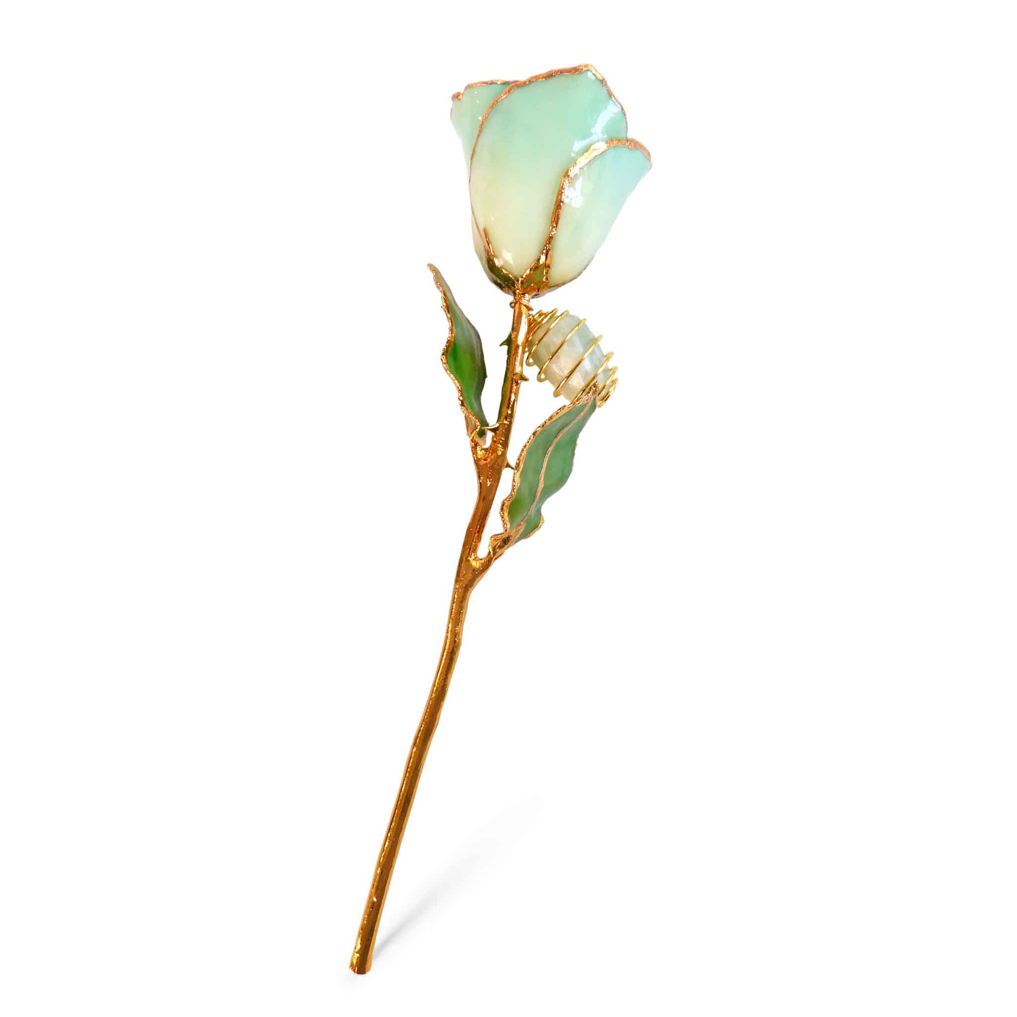 24K Gold Forever Rose - Jade