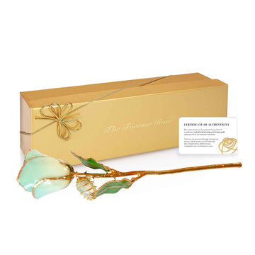 24K Gold Forever Rose - Jade