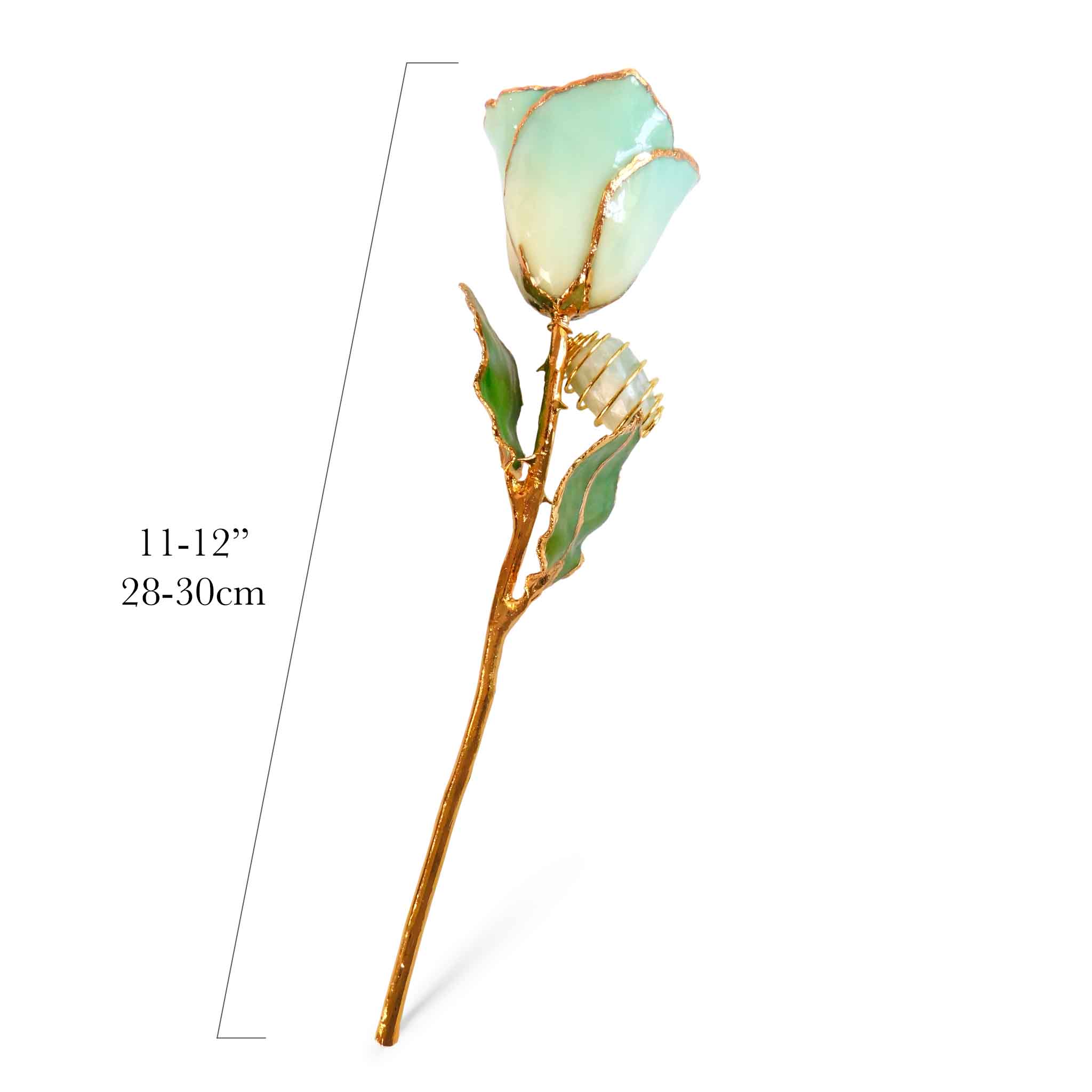 24K Gold Forever Rose - Jade