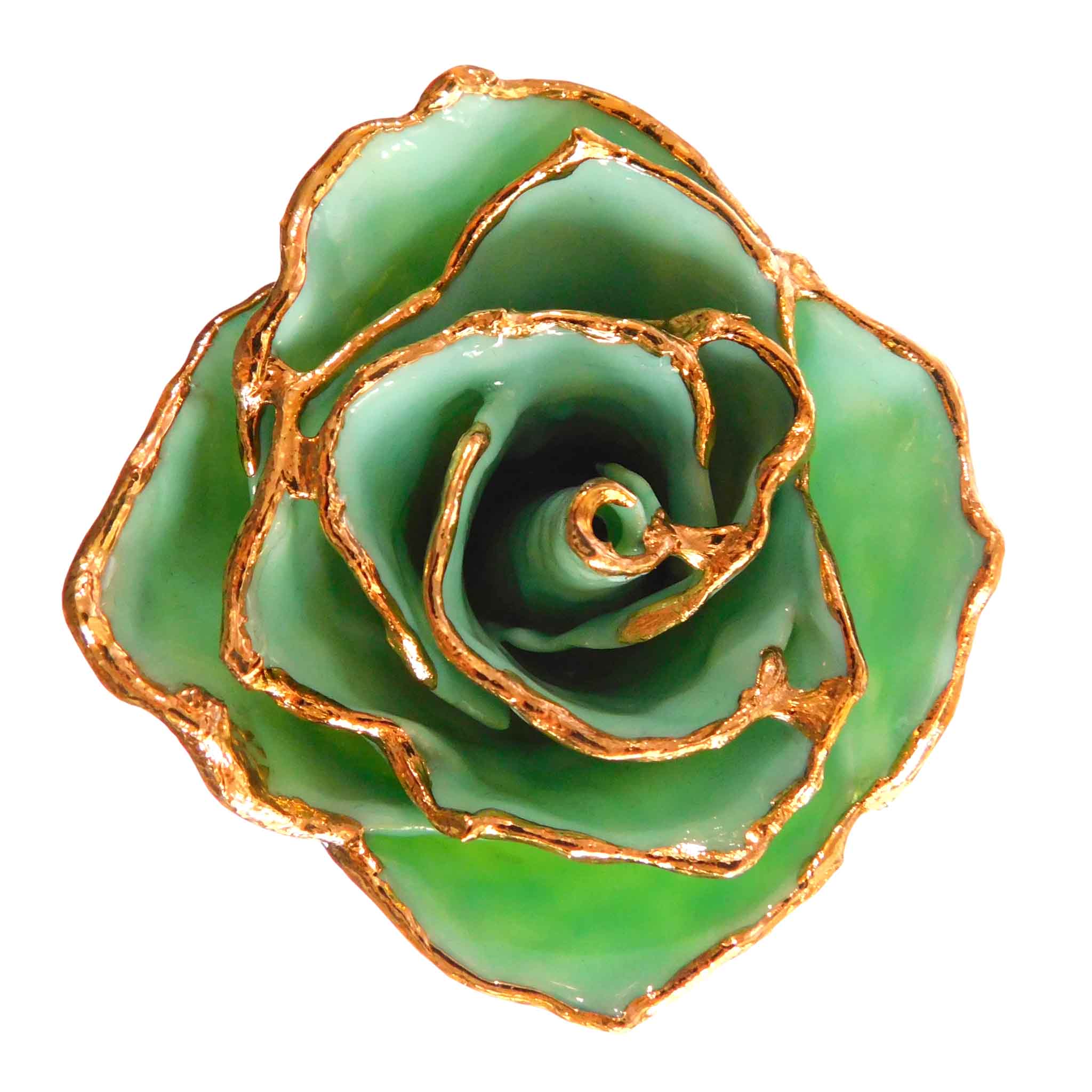 24K Gold Forever Rose - Jade
