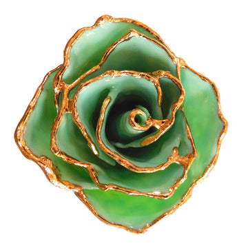 24K Gold Forever Rose - Jade