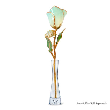 24K Gold Forever Rose - Jade
