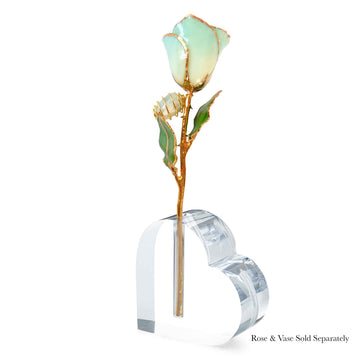 24K Gold Forever Rose - Jade