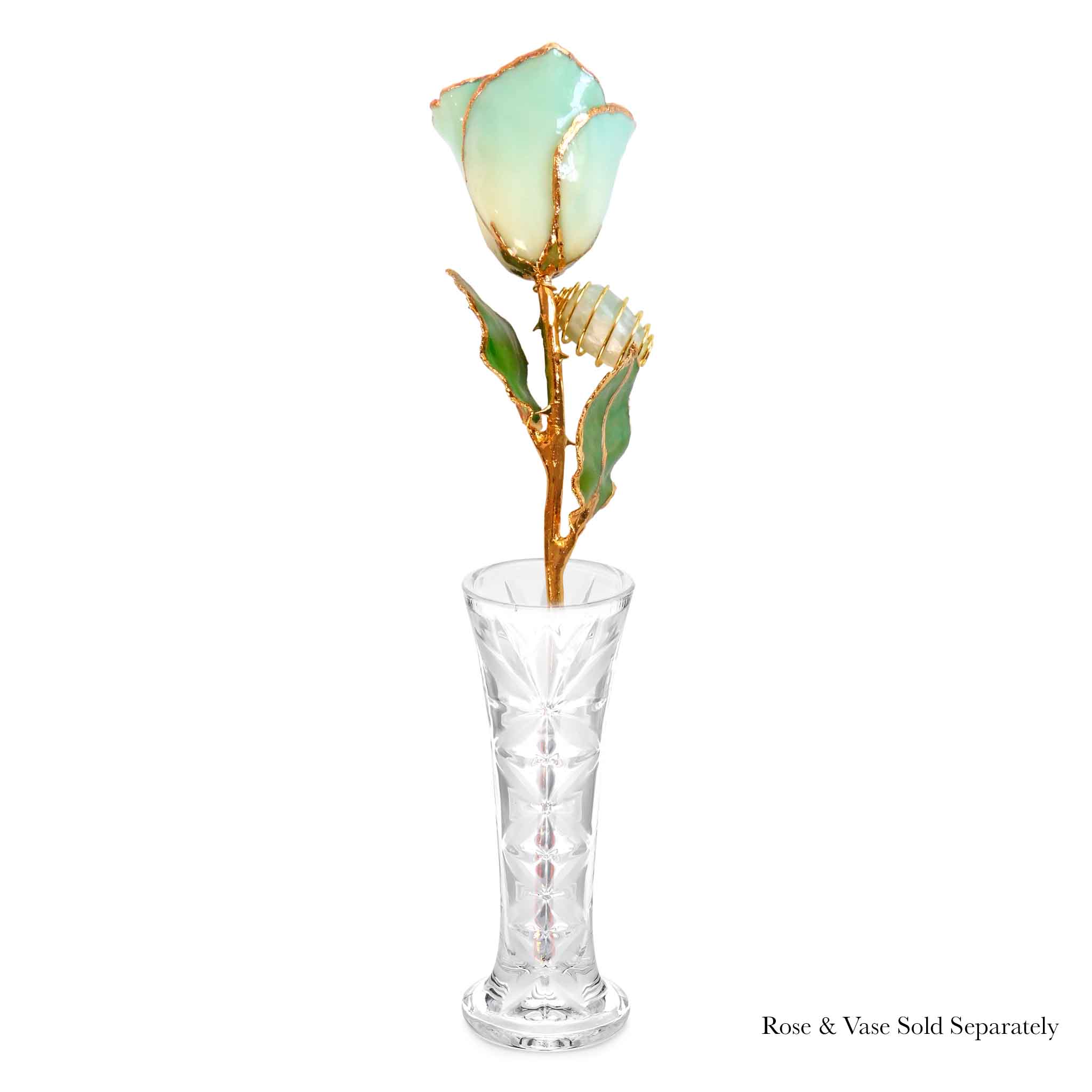24K Gold Forever Rose - Jade