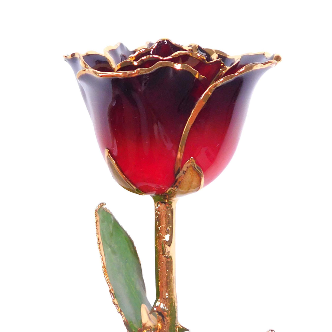 24K Gold Forever Rose - Mystique