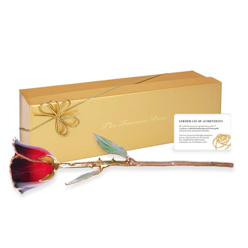 24K Gold Forever Rose - Mystique