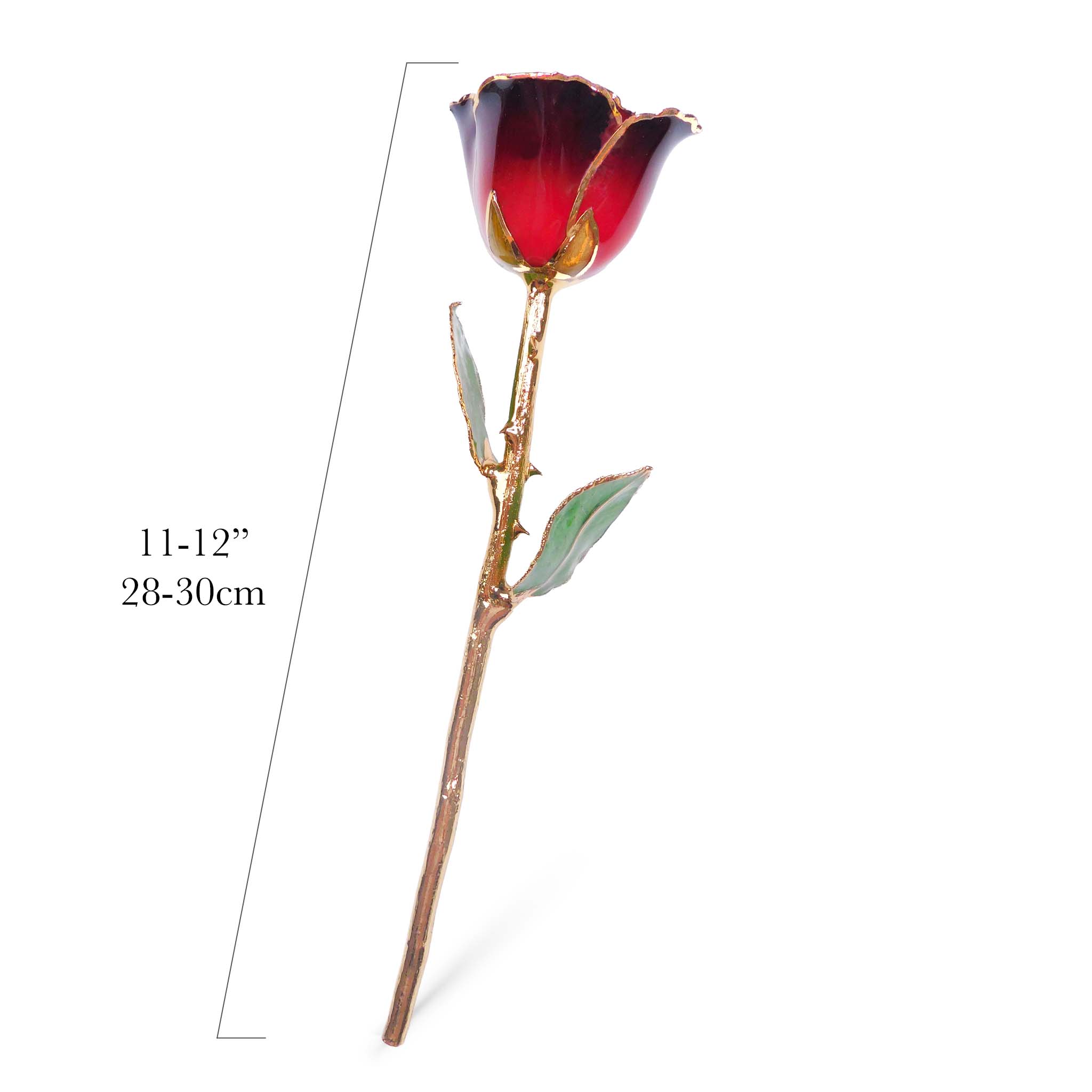 24K Gold Forever Rose - Mystique