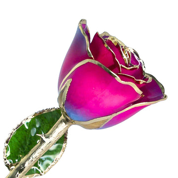 Custom Enchanted Rose w/ 24K Gold Nebula