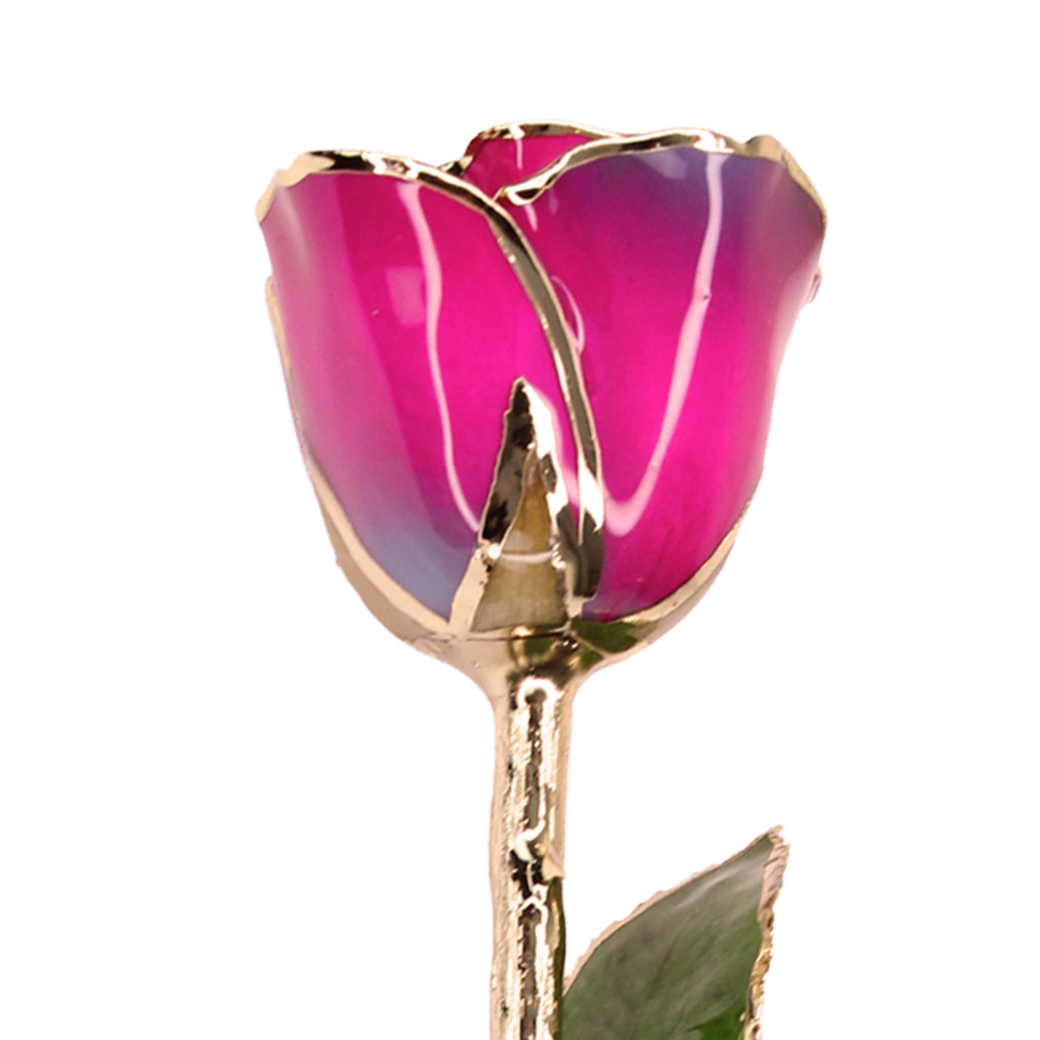 24K Gold Forever Rose - Nebula