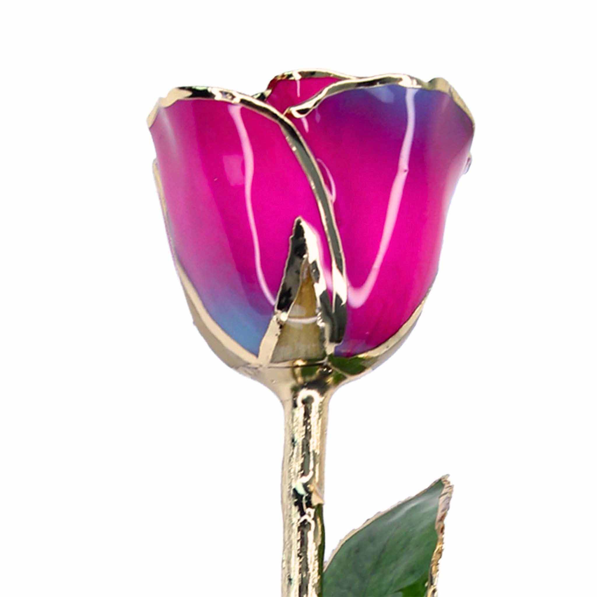 Custom Enchanted Rose w/ 24K Gold Nebula