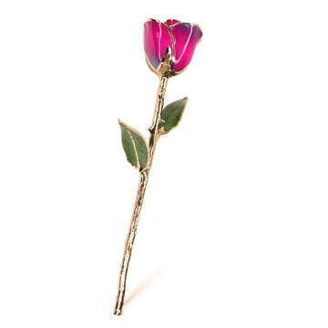 24K Gold Forever Rose - Nebula