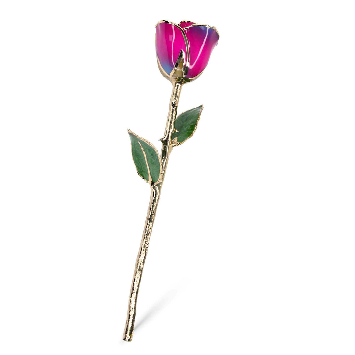 24K Gold Forever Rose - Nebula