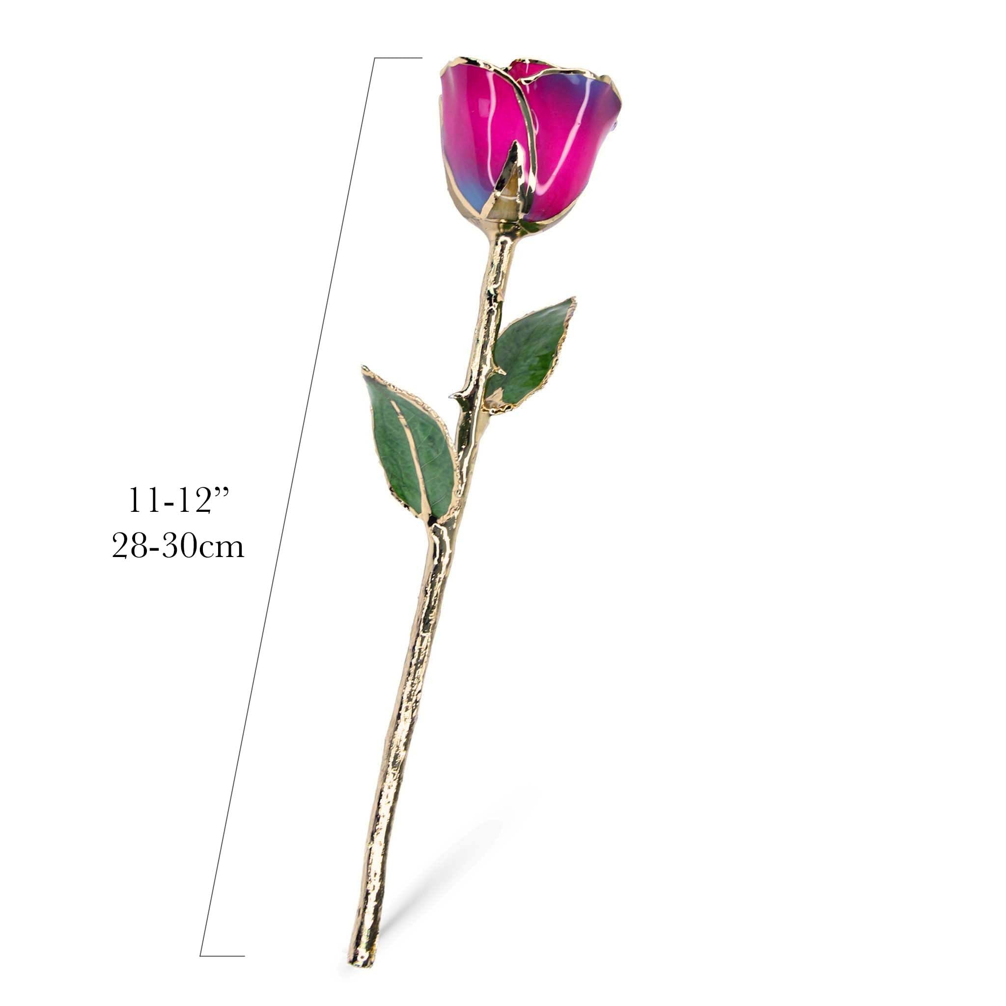 24K Gold Forever Rose - Nebula