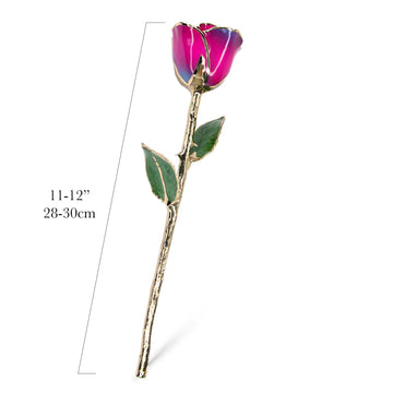 24K Gold Forever Rose - Nebula