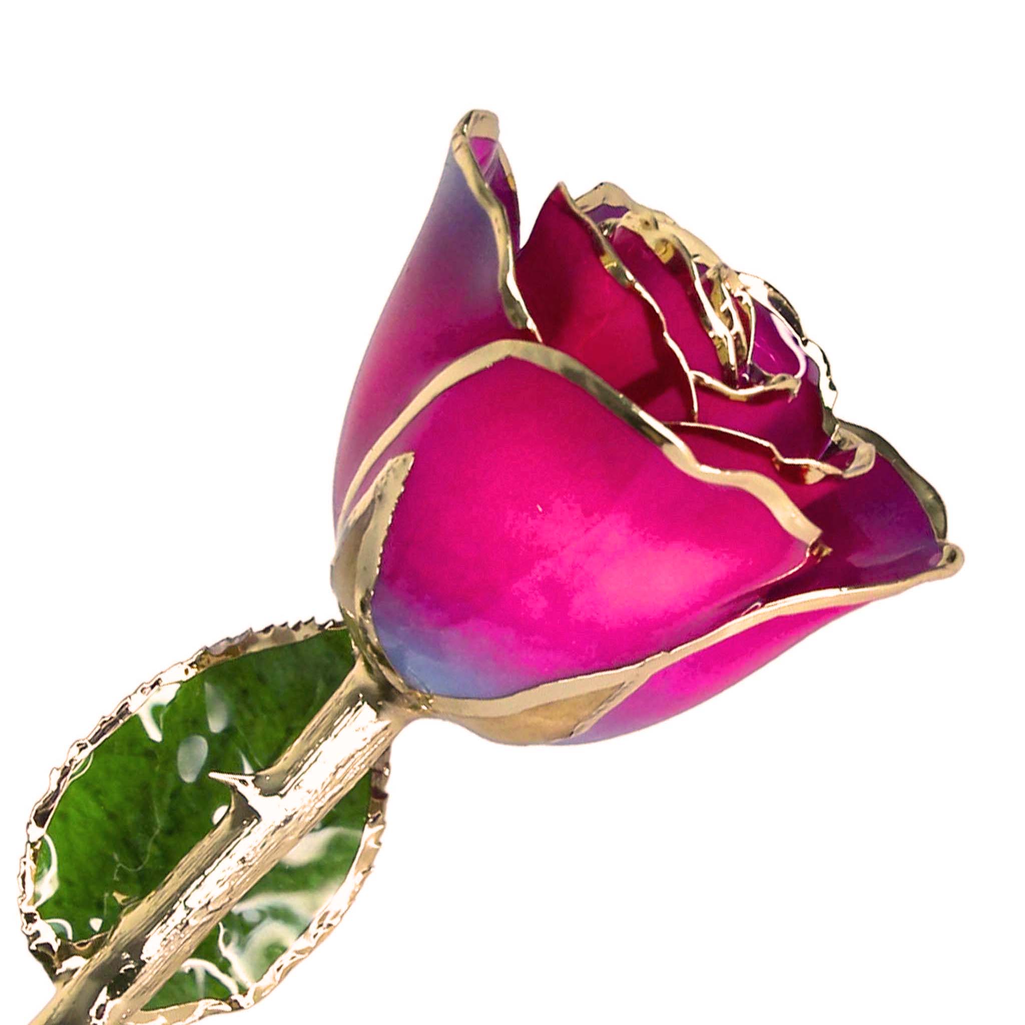 24K Gold Forever Rose - Nebula