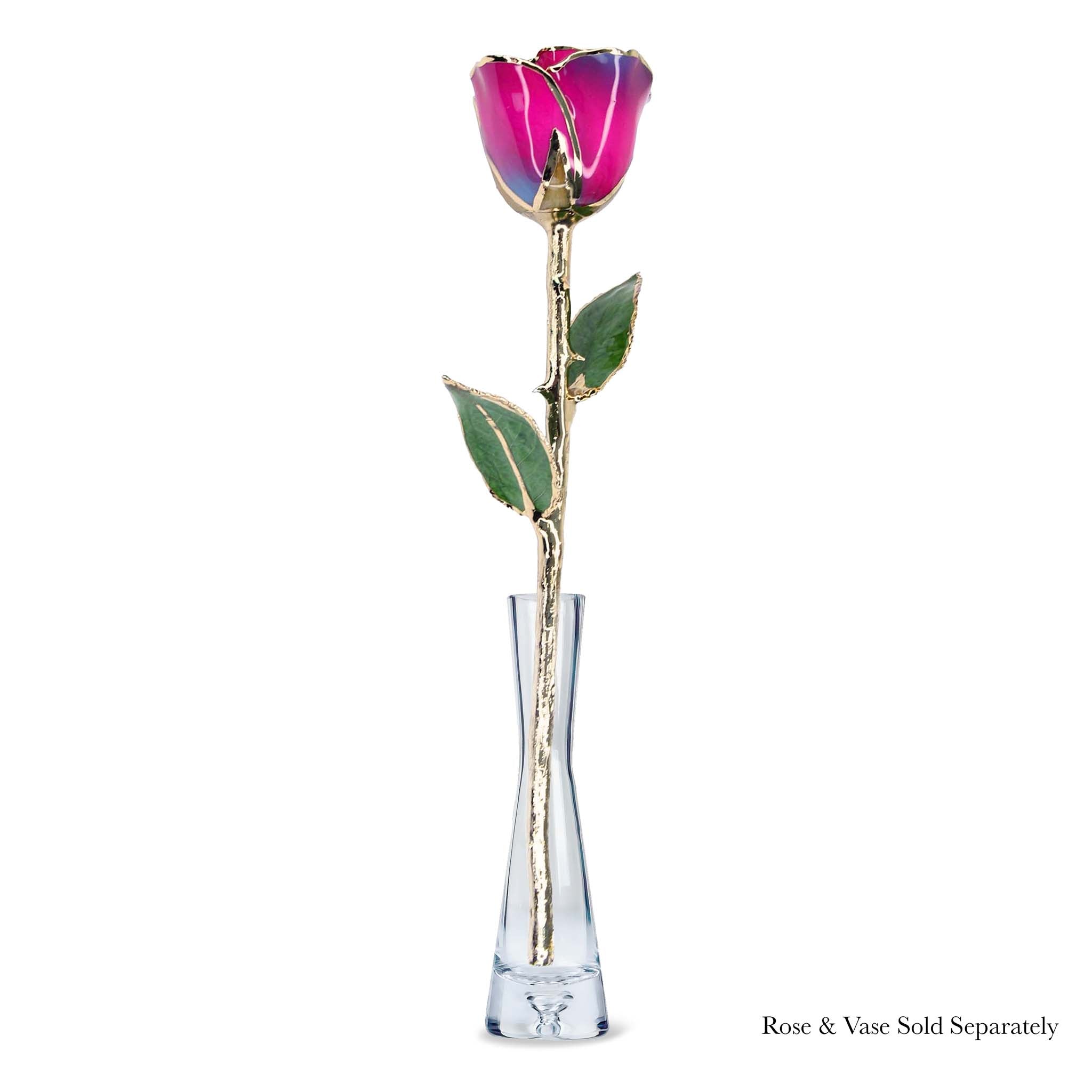 24K Gold Forever Rose - Nebula