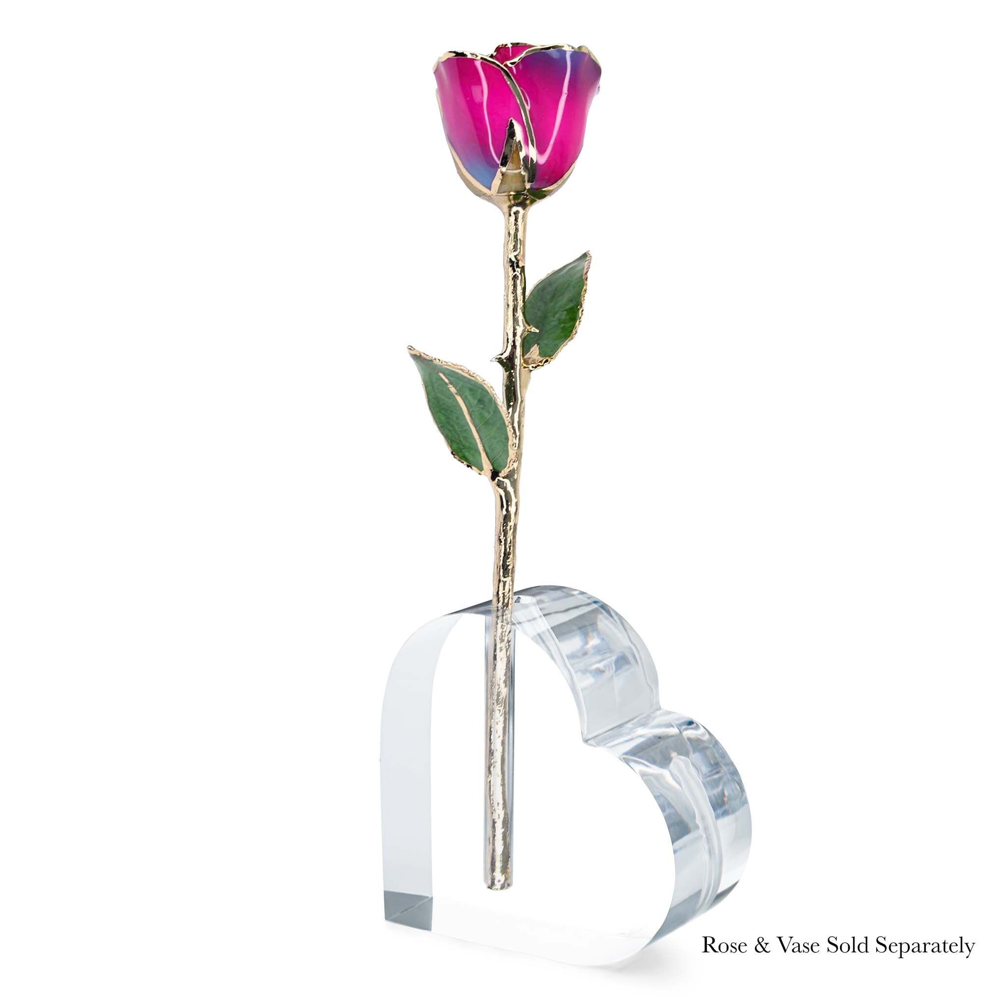 24K Gold Forever Rose - Nebula