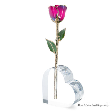 24K Gold Forever Rose - Nebula
