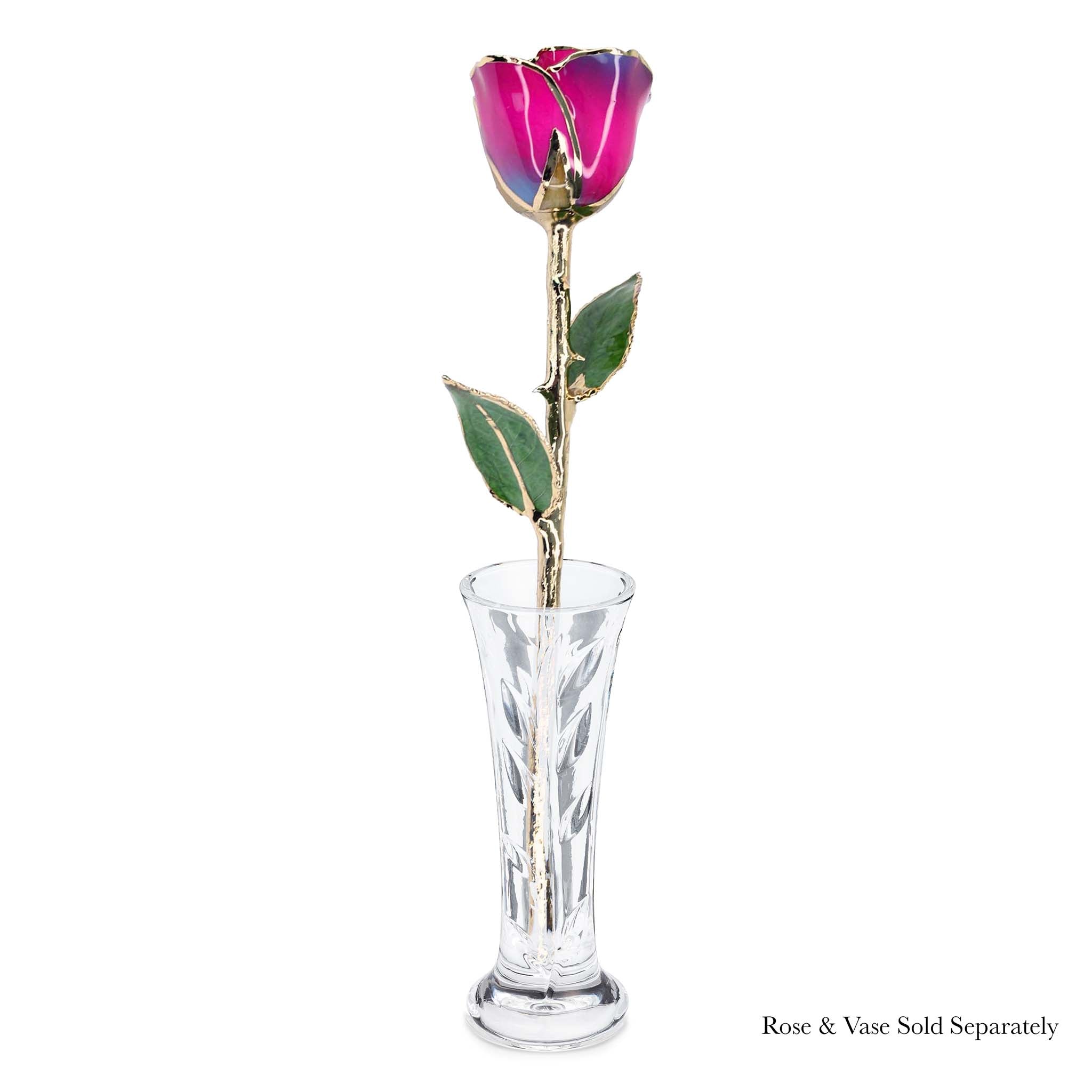 24K Gold Forever Rose - Nebula