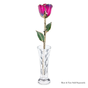 24K Gold Forever Rose - Nebula