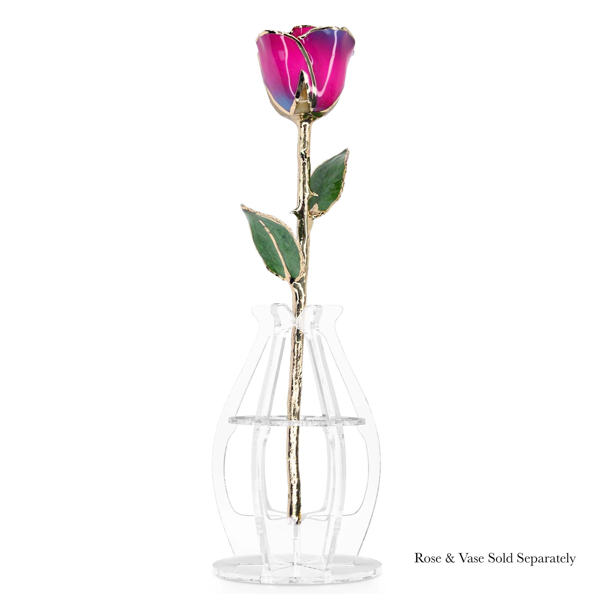 24K Gold Forever Rose - Nebula