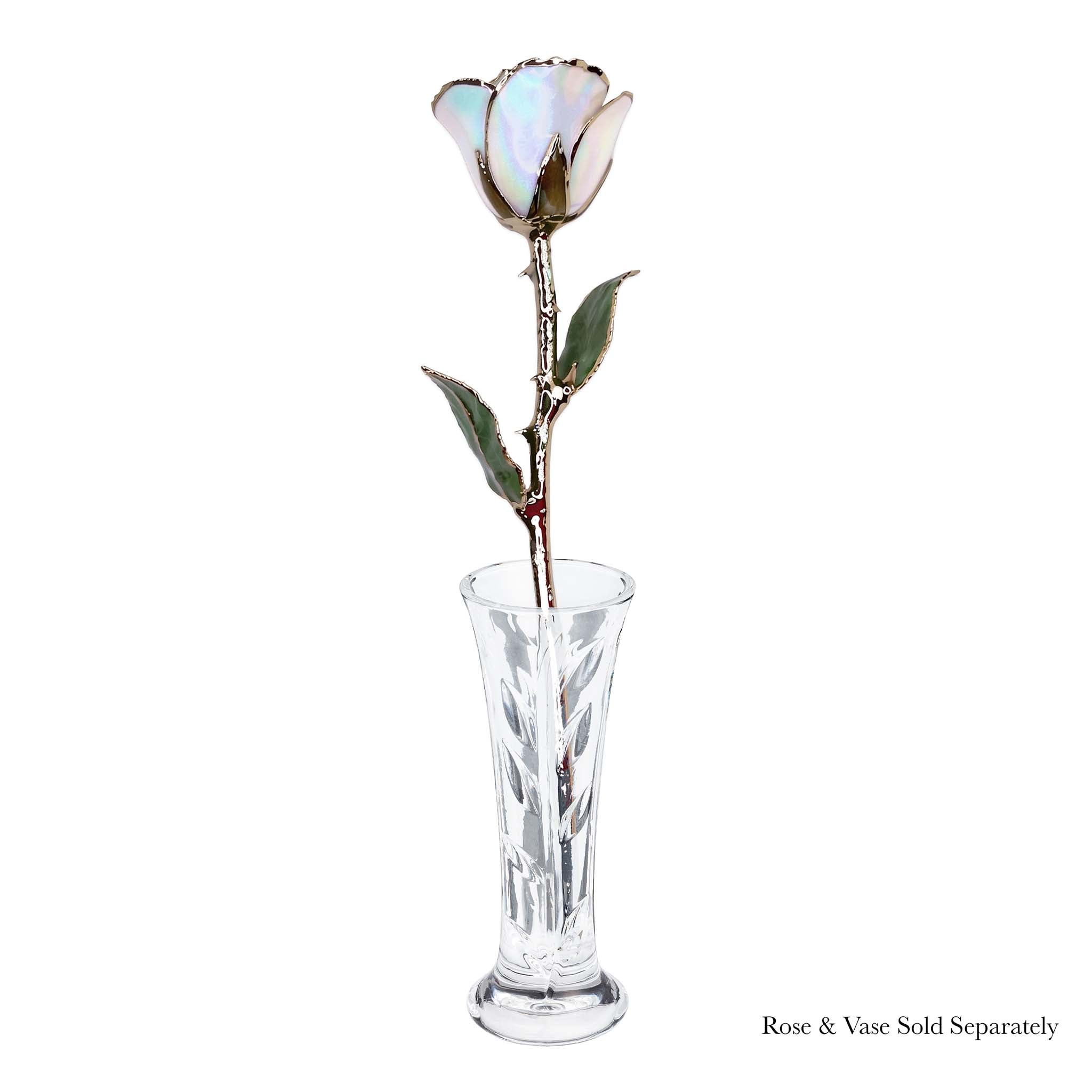 24K Gold Forever Rose - Opal Sparkle (October Birthstone) (Redesigned for 2026)
