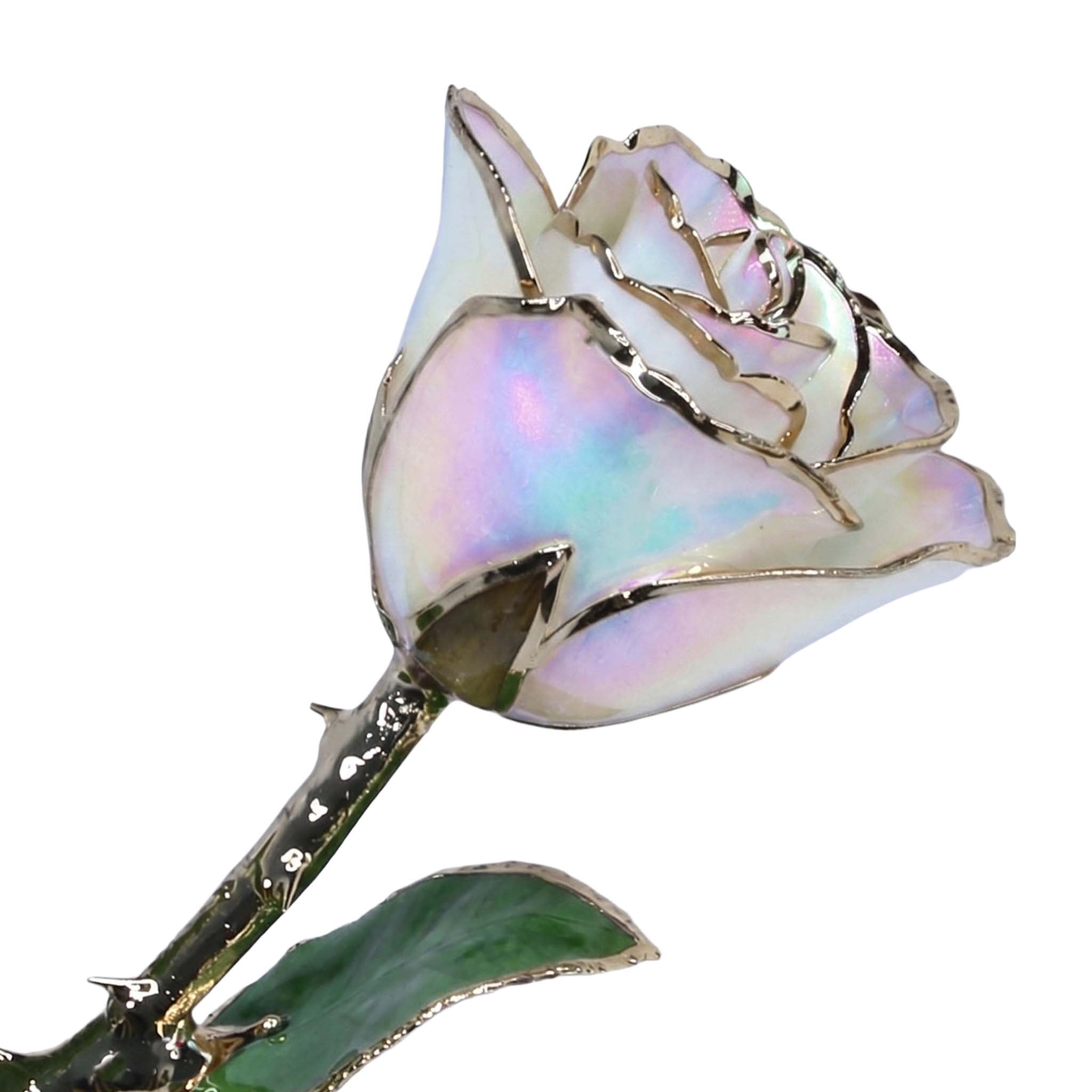 Custom Enchanted Rose - 24K Gold Opal (October) (Redesigned for 2026)