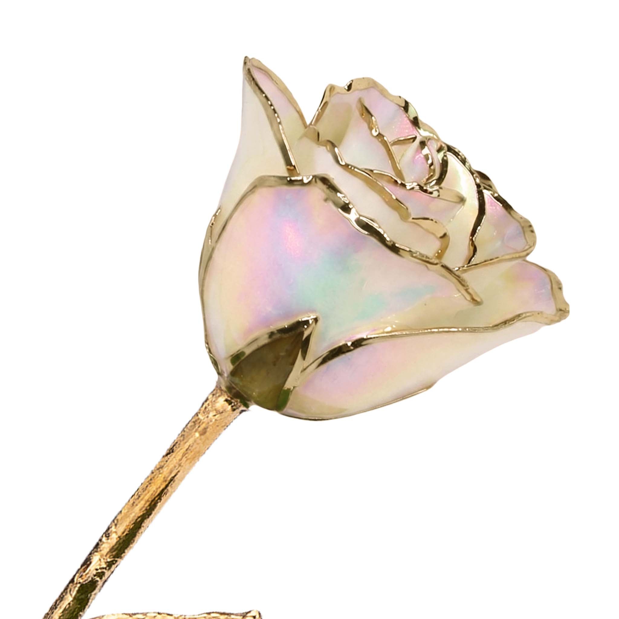 24K Gold Forever Rose - Opal Sparkle (October Birthstone) (Redesigned for 2026)