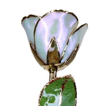 Custom Enchanted Rose - 24K Gold Opal (October) (Redesigned for 2026)