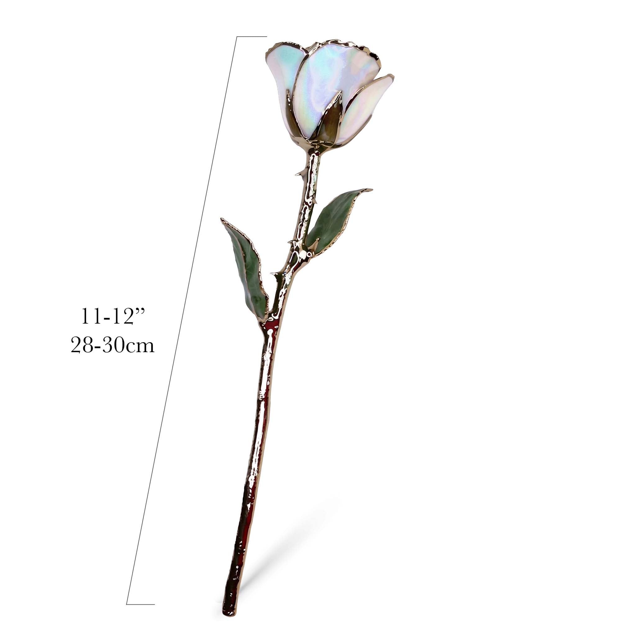 24K Gold Forever Rose - Opal Sparkle (October Birthstone) (Redesigned for 2026)