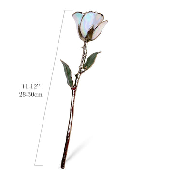 24K Gold Forever Rose - Opal Sparkle (October Birthstone) (Redesigned for 2026)