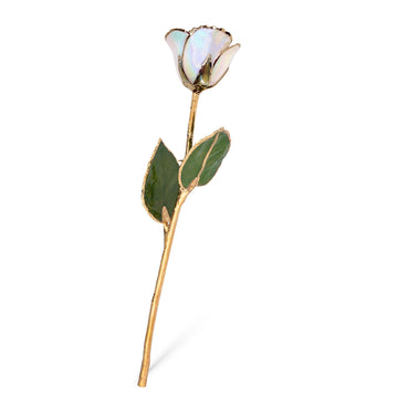 24K Gold Forever Rose - Opal Sparkle (October Birthstone) (Redesigned for 2026)