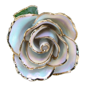 24K Gold Forever Rose - Opal Sparkle (October Birthstone) (Redesigned for 2026)