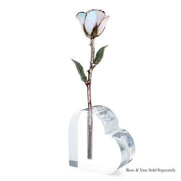 24K Gold Forever Rose - Opal Sparkle (October Birthstone) (Redesigned for 2026)