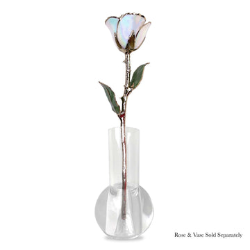 24K Gold Forever Rose - Opal Sparkle (October Birthstone) (Redesigned for 2026)
