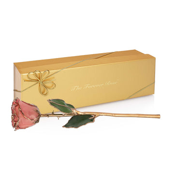 24K Gold Forever Rose - Pink