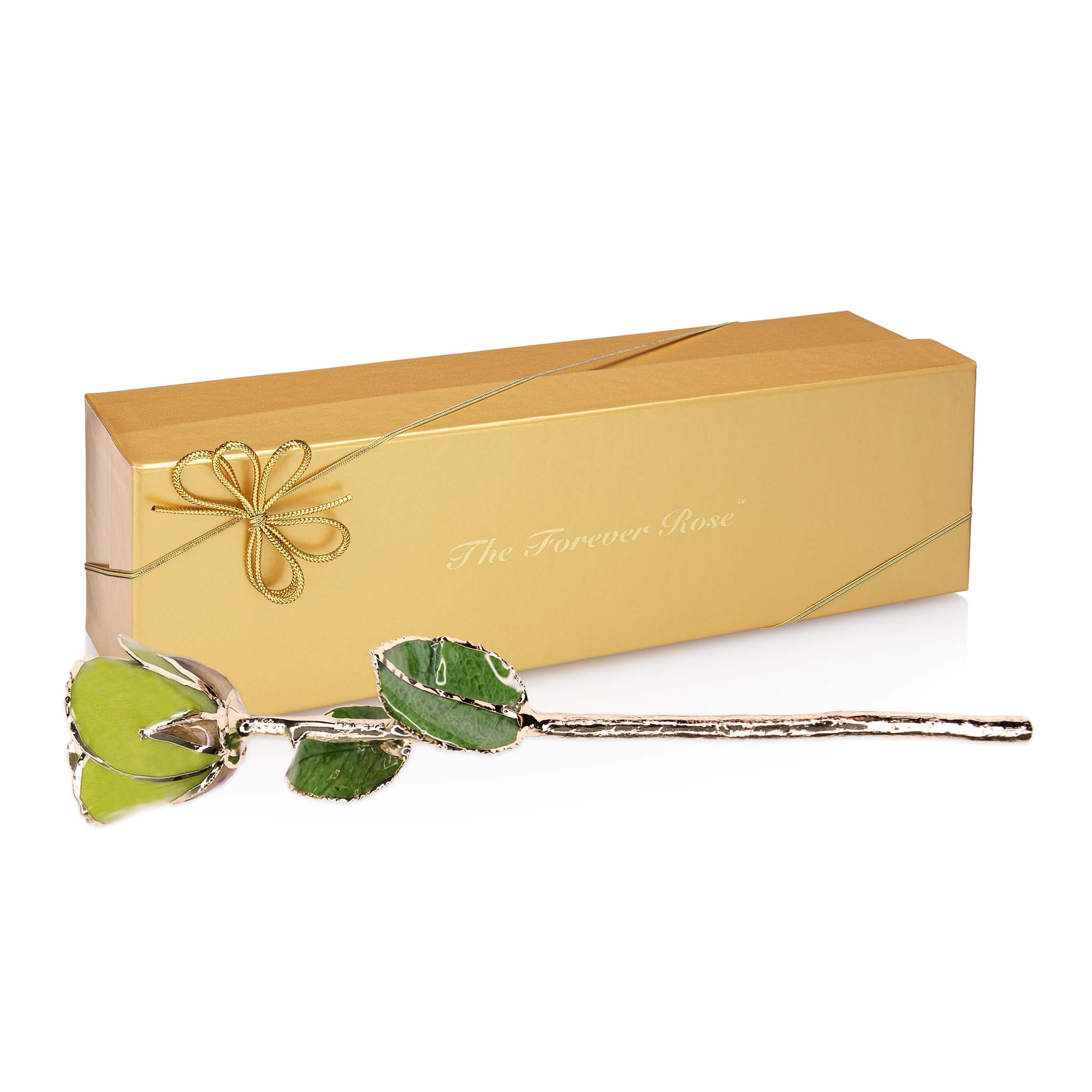 24K Gold Forever Rose - Pistachio