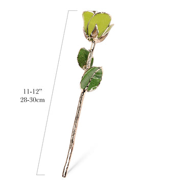 24K Gold Forever Rose - Pistachio