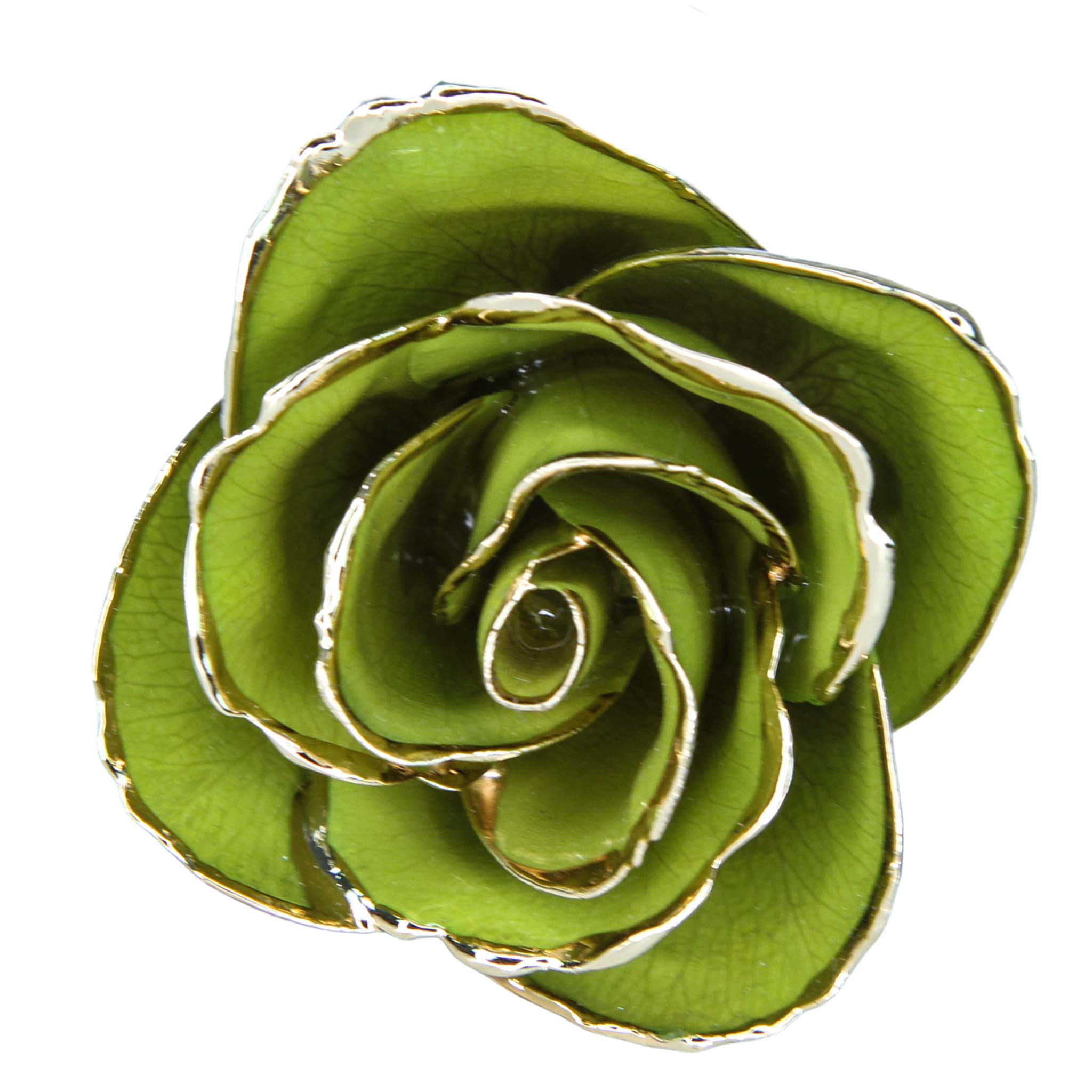 24K Gold Forever Rose - Pistachio