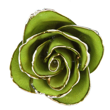 24K Gold Forever Rose - Pistachio