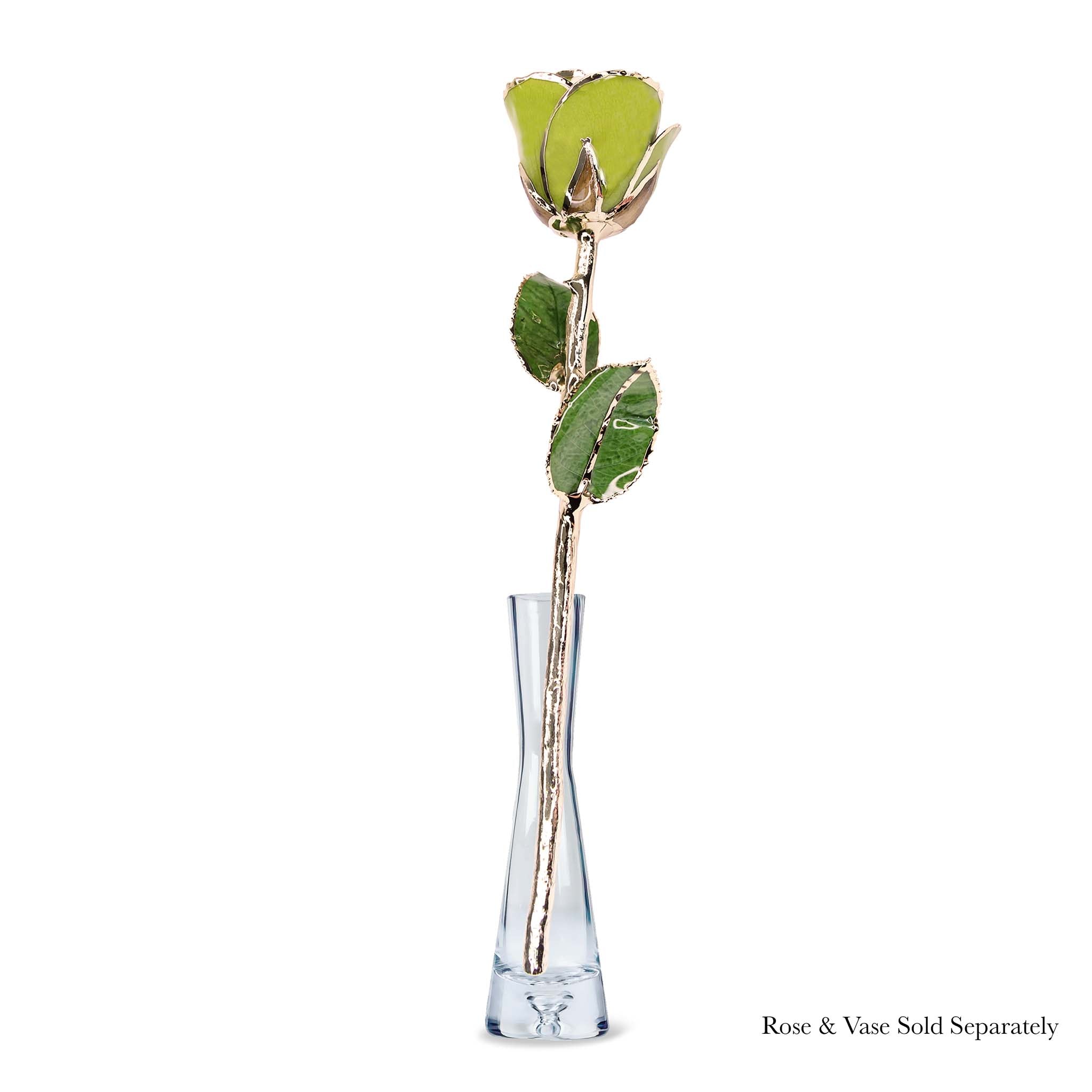 24K Gold Forever Rose - Pistachio