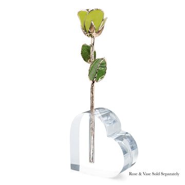 24K Gold Forever Rose - Pistachio