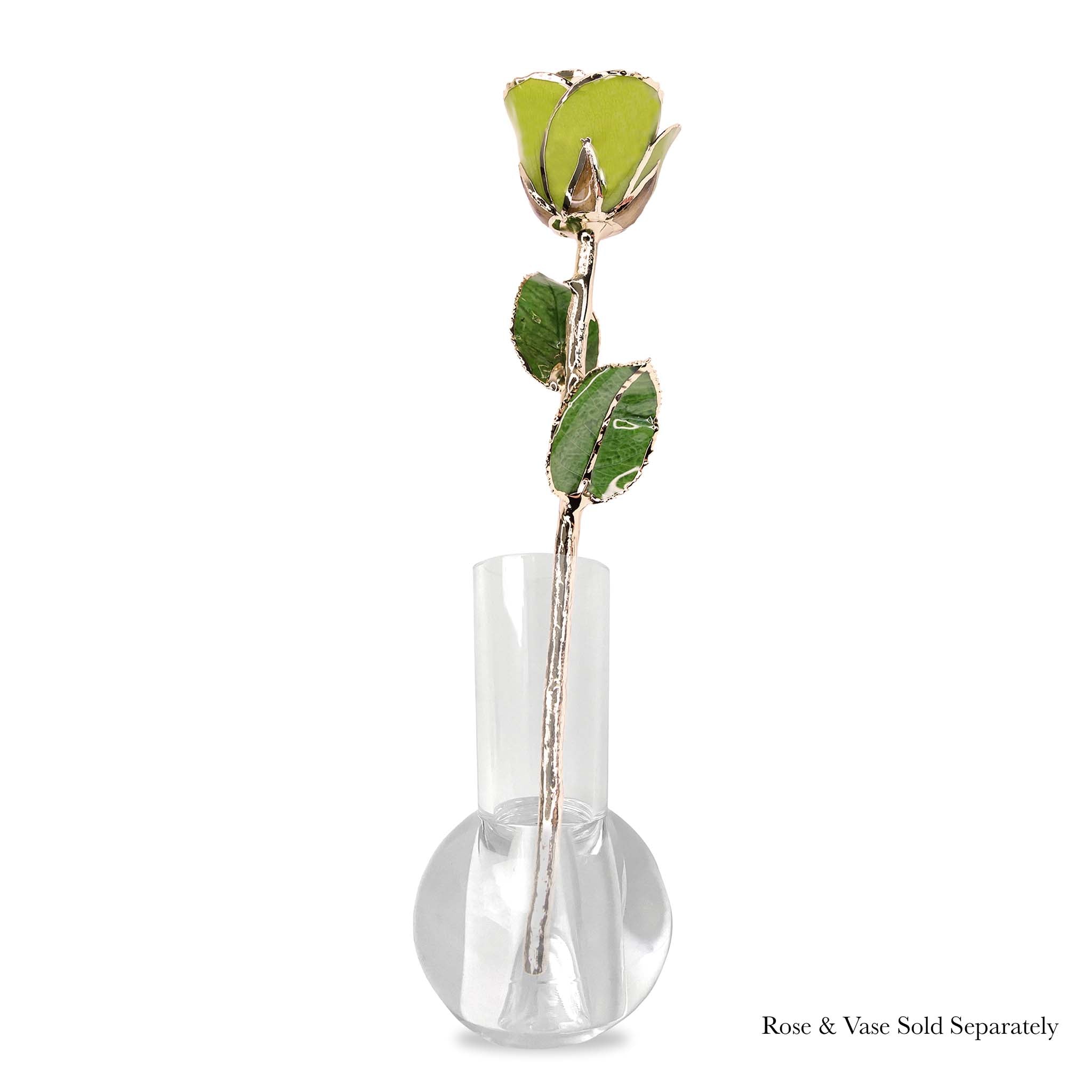 24K Gold Forever Rose - Pistachio