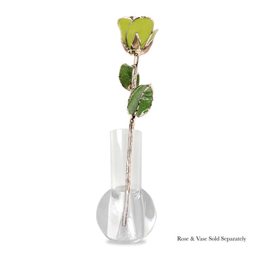 24K Gold Forever Rose - Pistachio