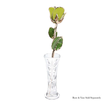 24K Gold Forever Rose - Pistachio