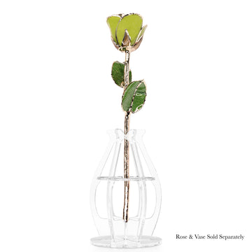 24K Gold Forever Rose - Pistachio