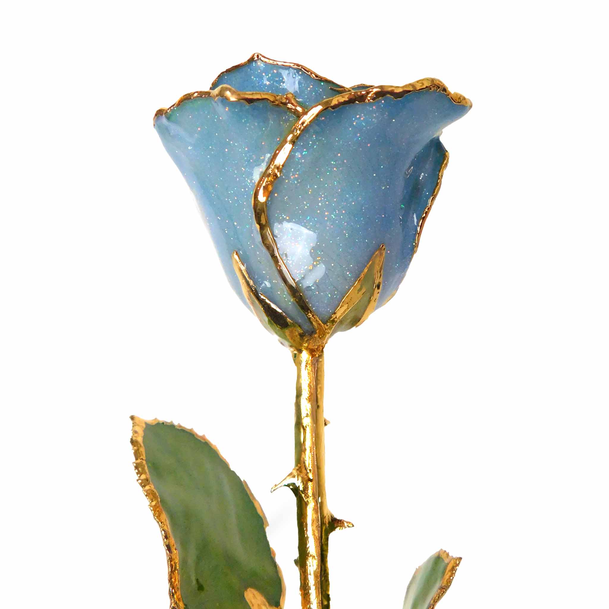 Custom Enchanted Rose w/ 24K Princess Blue Rose