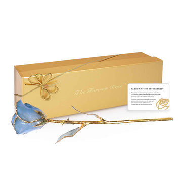 24K Gold Forever Rose - Princess Blue