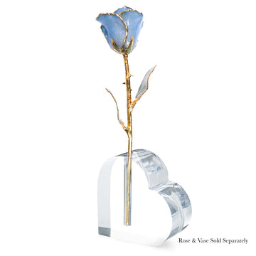 24K Gold Forever Rose - Princess Blue